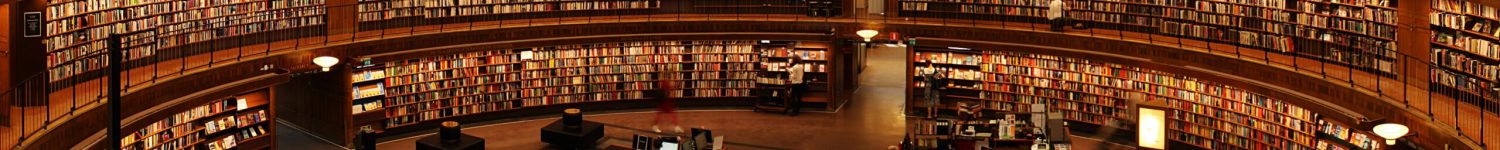 pexels-repuding-12064